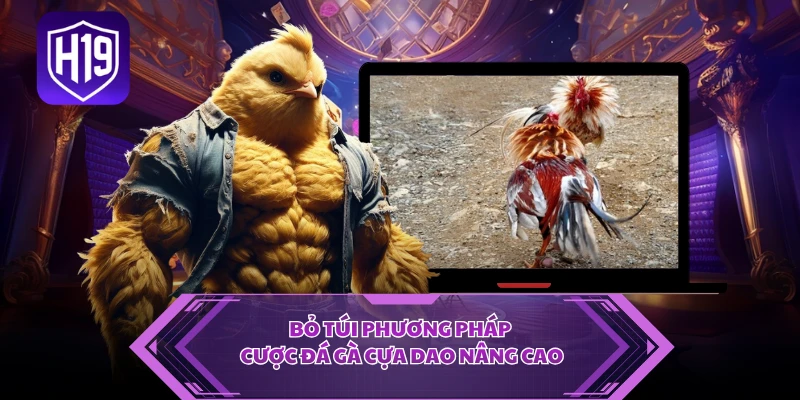Bỏ túi phương pháp cược đá gà cựa dao nâng cao